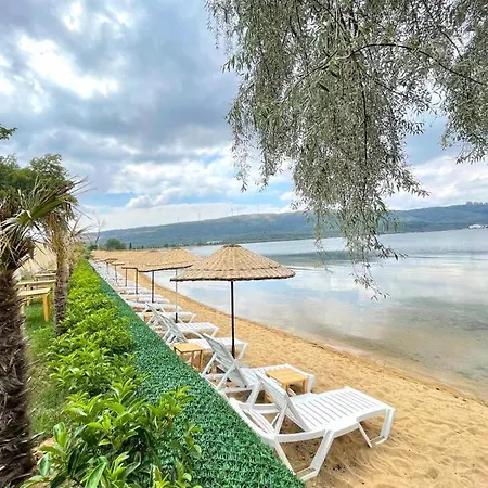 The King Beach Camping Campo de lujo